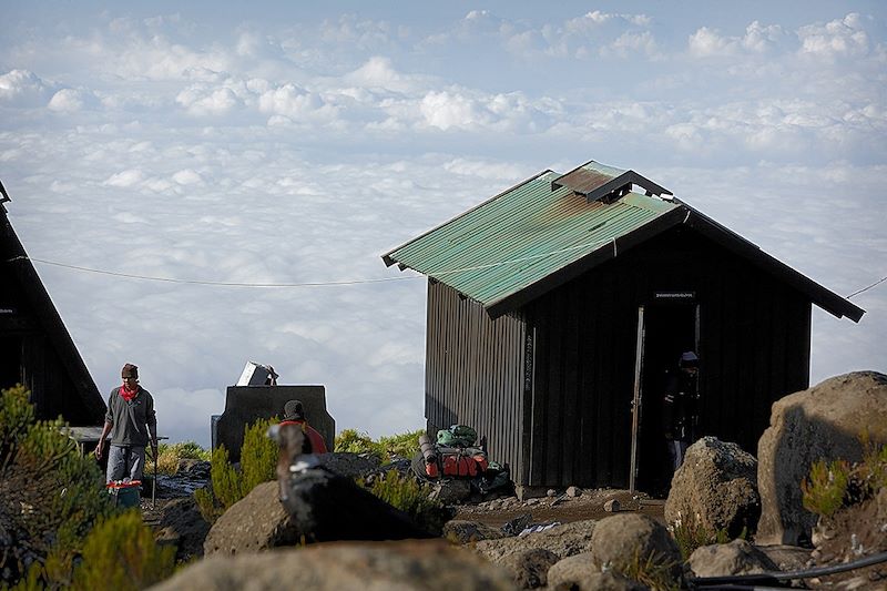 Horombo Huts - Kilimandjaro - Tanzanie