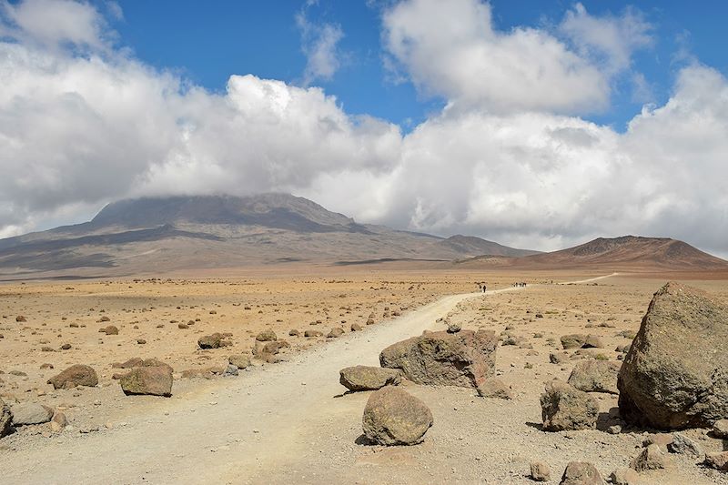 Le Kili par la voie Marangu