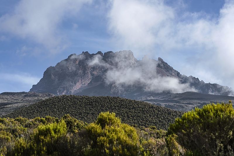 Le Kili par la voie Marangu