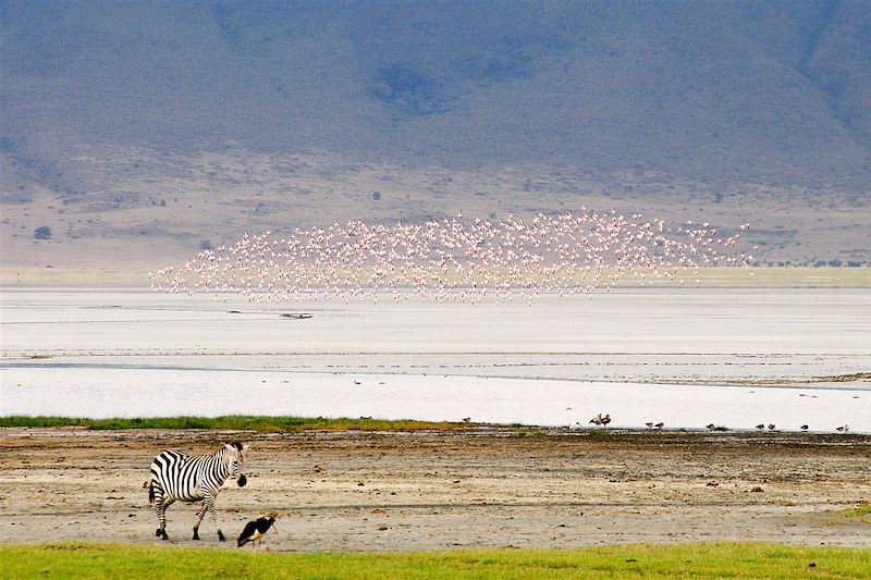 Cratère du Ngorongoro - Tanzanie