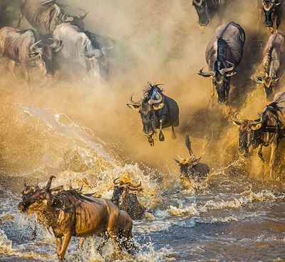 Safari Tanzanie