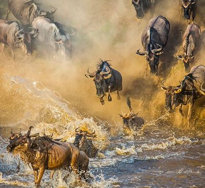 Voyages sur mesure Tanzanie