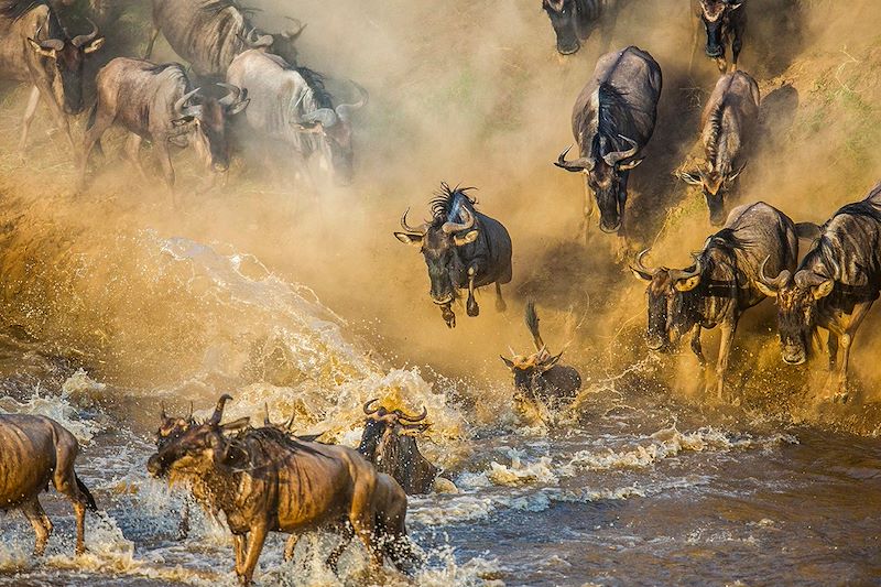 Safari sur la trace de la grande migration des Gnous en Tanzanie, au coeur du Serengeti, avant les douces plages de Zanzibar..