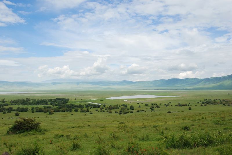 La Tanzanie sans compromis !