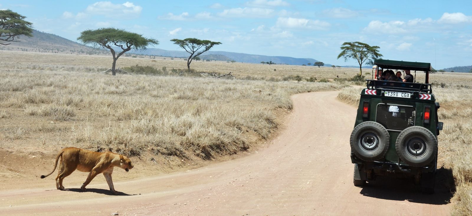 Voyage avec des animaux : Des lodges oui, mais en Tanzanie !