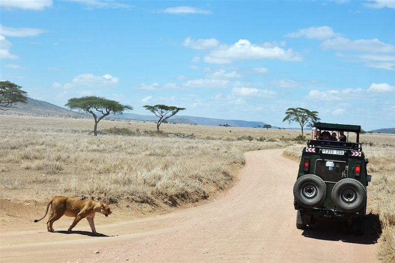 Des lodges oui, mais en Tanzanie !