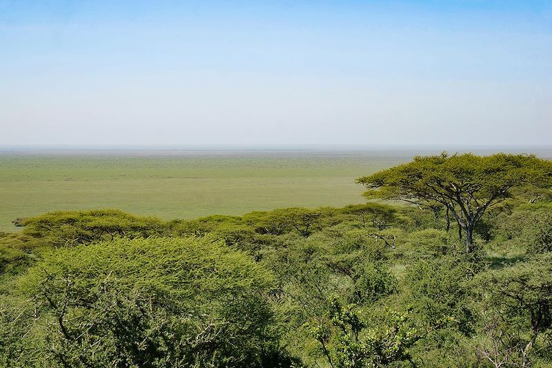 Parc du Serengeti - Tanzanie
