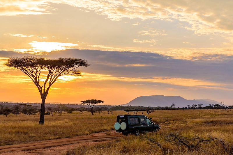 Safari dans le parc du Serengeti - Tanzanie