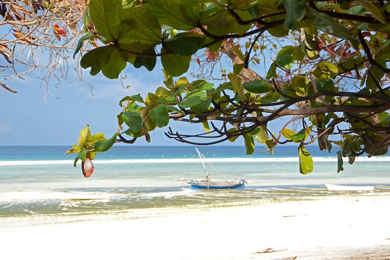 Plage - Zanzibar - Tanzanie