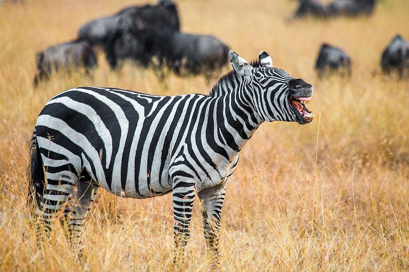 voyage Tanzanie