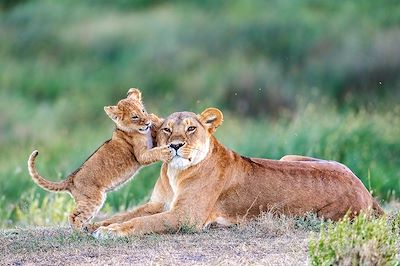 Jambo Tanzania & Zanzibar en famille !  3