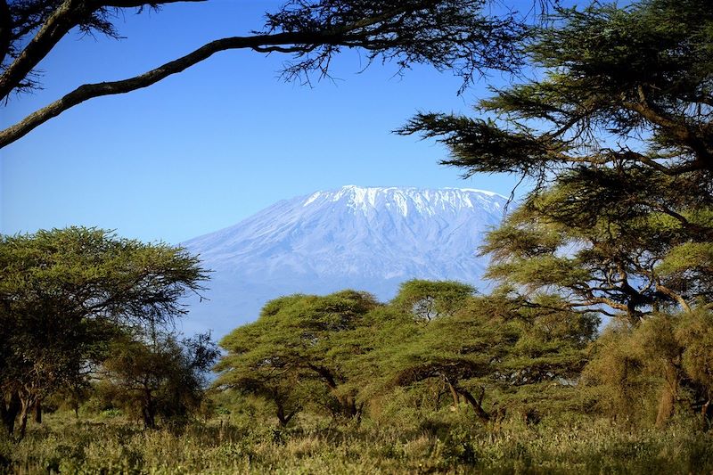 Rando Kilimandjaro, voie Machame PRIVATISE