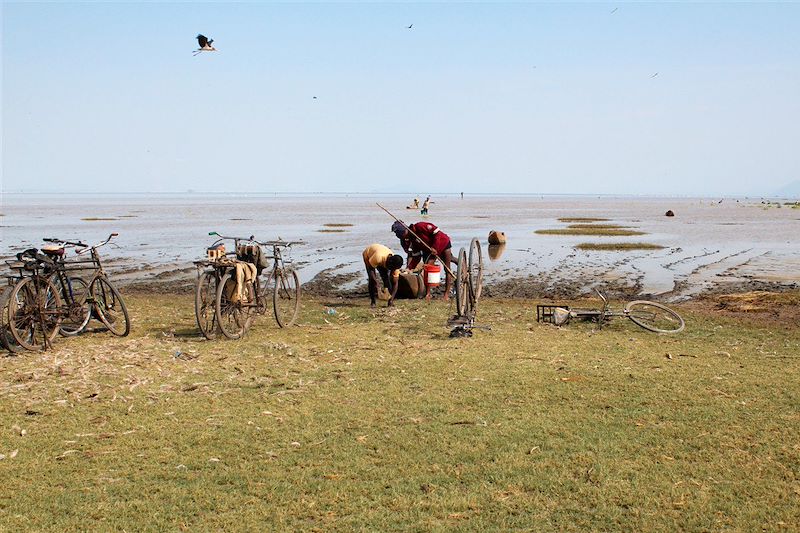 Balade à vélo dans le parc national de Manyara - Tanzanie