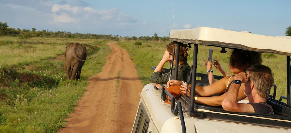 Safari privé en Tanzanie puis halte à Zanzibar, avec guide francophone du lac Manyara au cratère Ngorongoro via le parc Tarangire
