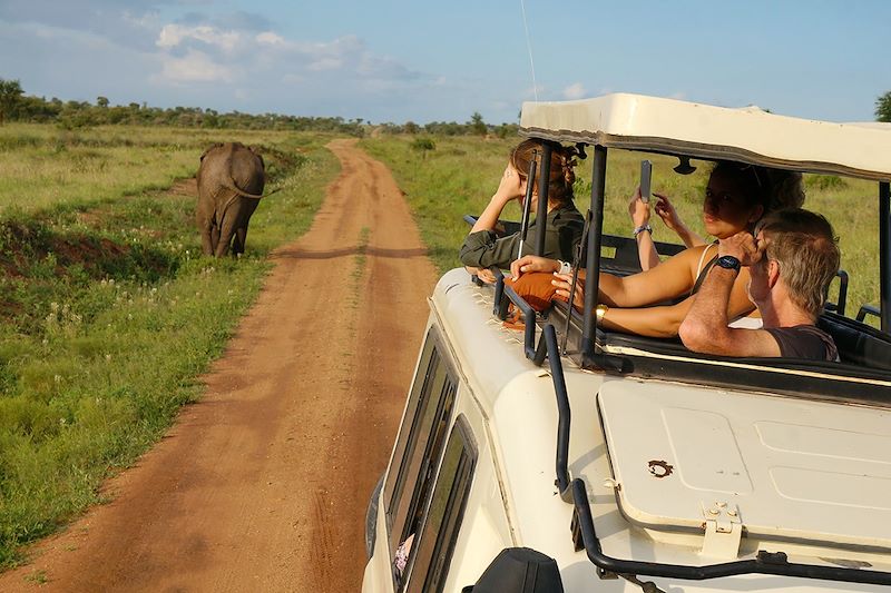 Safari privé en Tanzanie avec guide francophone : du lac Manyara au cratère Ngorongoro via le parc Tarangire puis halte à Zanzibar