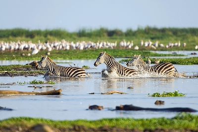 Sur les traces des Big Five ! 2