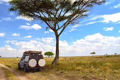 Sur les traces des Big Five ! 4