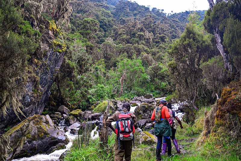 Randonneurs dans les Monts Rwenzori - Ouganda
