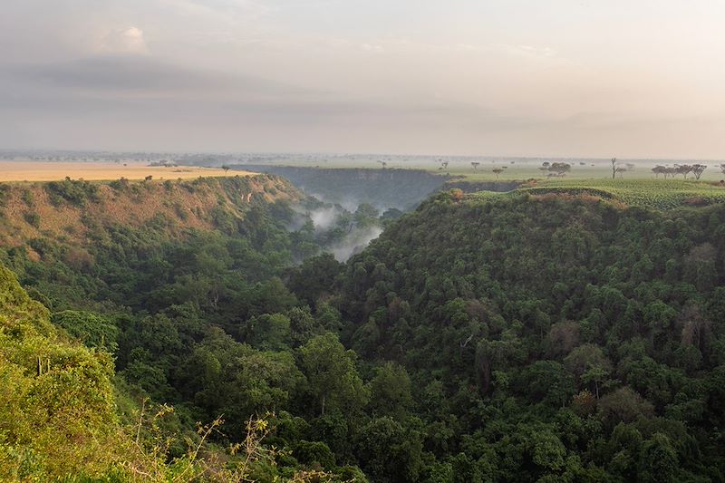 Gorge de Kyambura - Parc national Queen Elizabeth - Ouganda