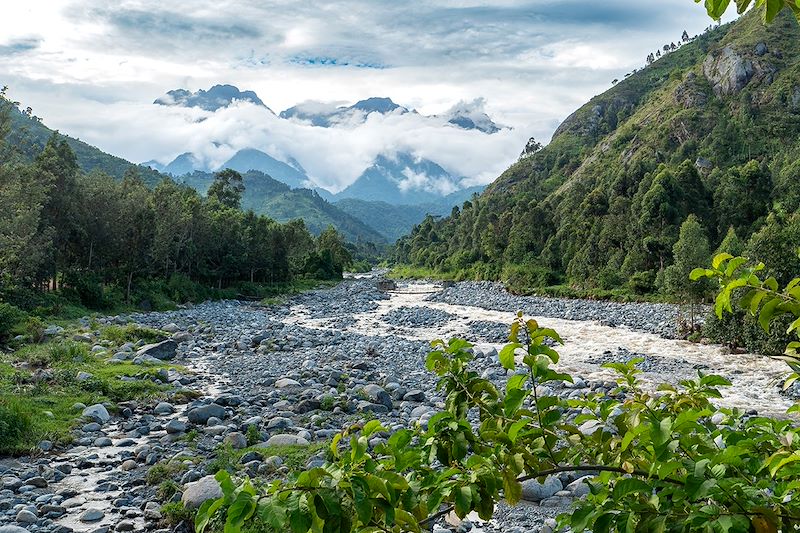 Monts Rwenzori - Ouganda