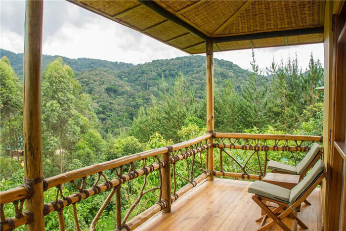 Ichumbi Gorilla Lodge - Bwindi - Ouganda