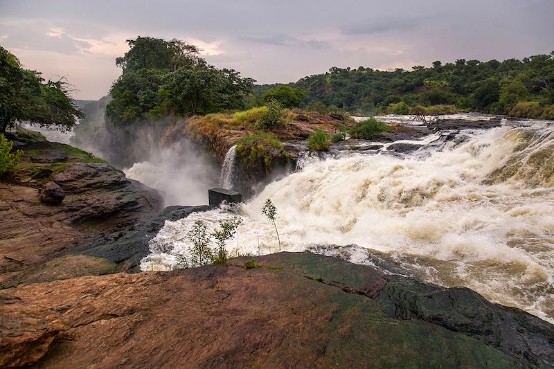 Murchison Falls - Ouganda