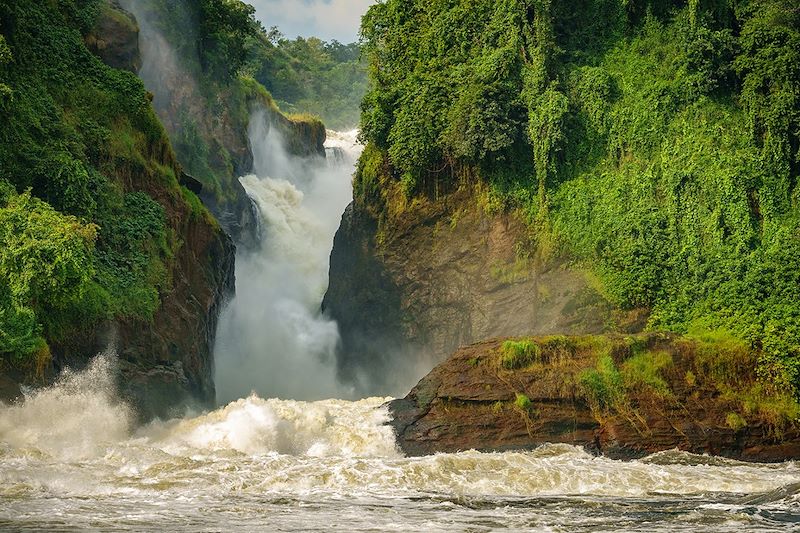 Parc national Murchison Falls - Ouganda