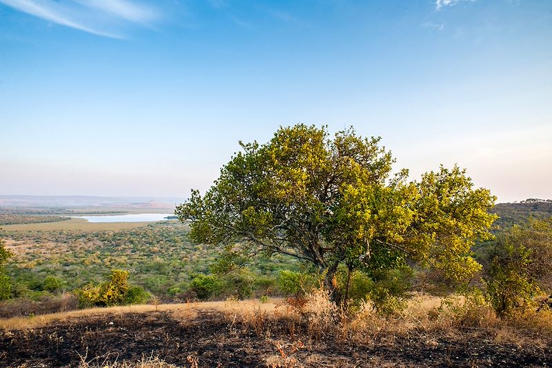 Lac Mburo - Ouganda