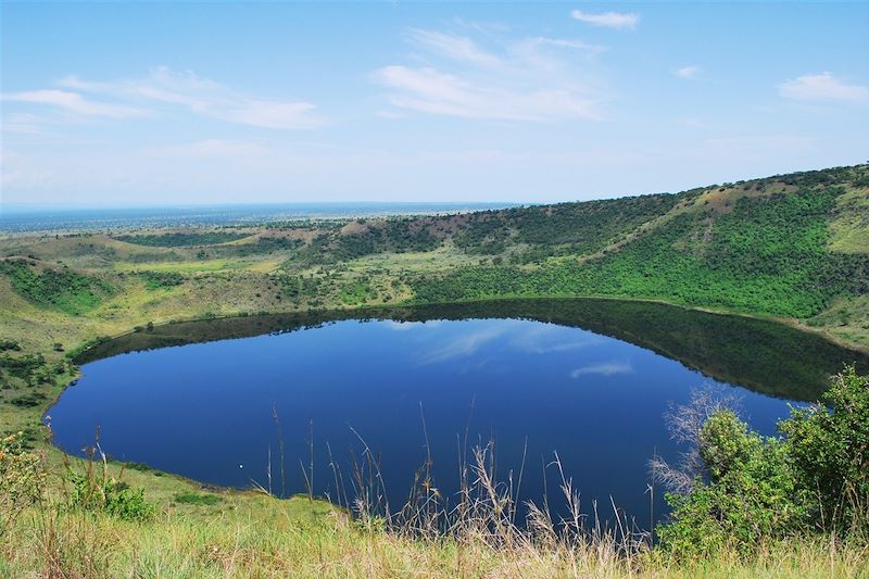 Gorilles, lacs et volcans 