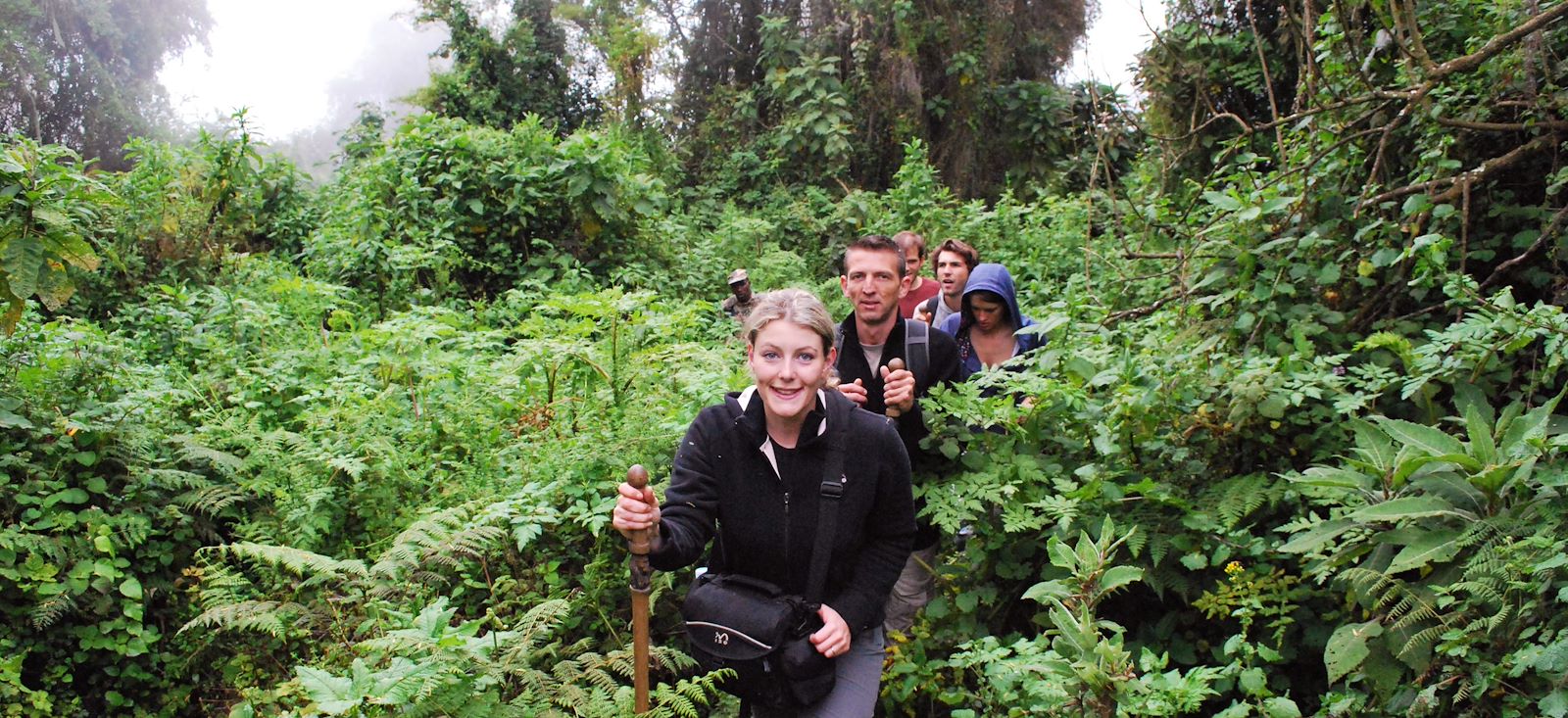 Image Rando, safaris et gorilles des montagnes !