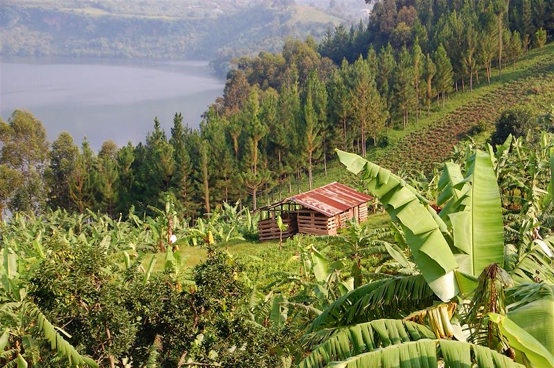 Route entre Kazinga et Ishasha - Ouganda