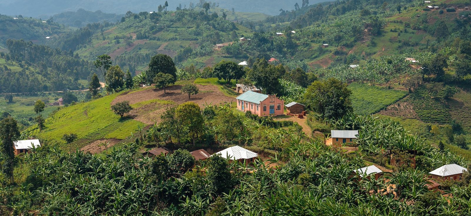 Image Rando, safaris et gorilles des montagnes !