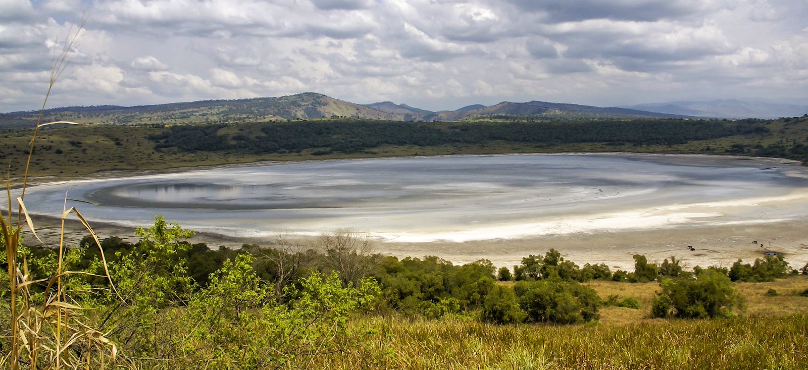 Image Rando, safaris et gorilles des montagnes !