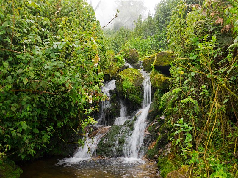 Peuple et parcs de la région des grands lacs 