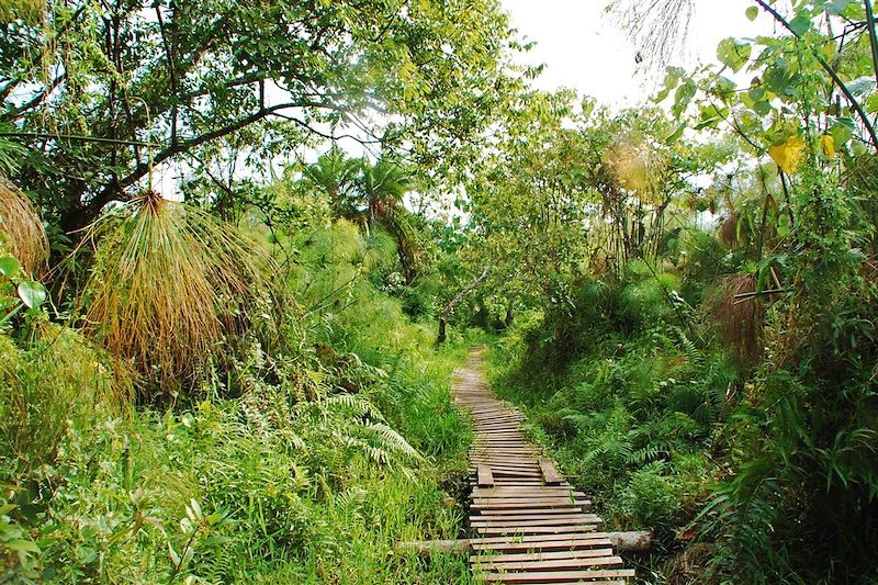 Safari des grands parcs Ougandais !