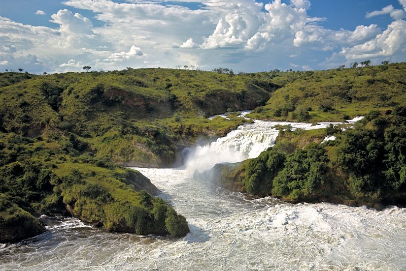 Safari des grands parcs Ougandais !
