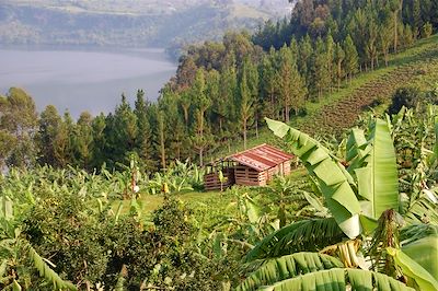 L'Ouganda du nord au sud 4