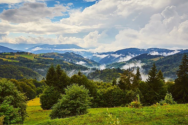Parc national du Synevyr - Oblast de Transcarpatie - Ukraine