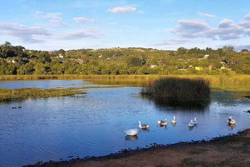 Villa Serrana - Lavalleja - Uruguay