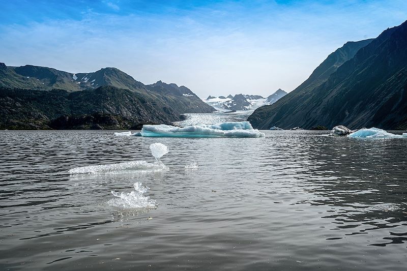 Glacier Grewingk - Kenai - Alaska - Etats-Unis