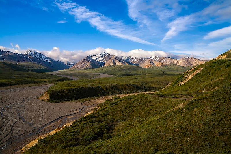 Polychrome Pass - Parc national Denali - Alaska - Etats-Unis