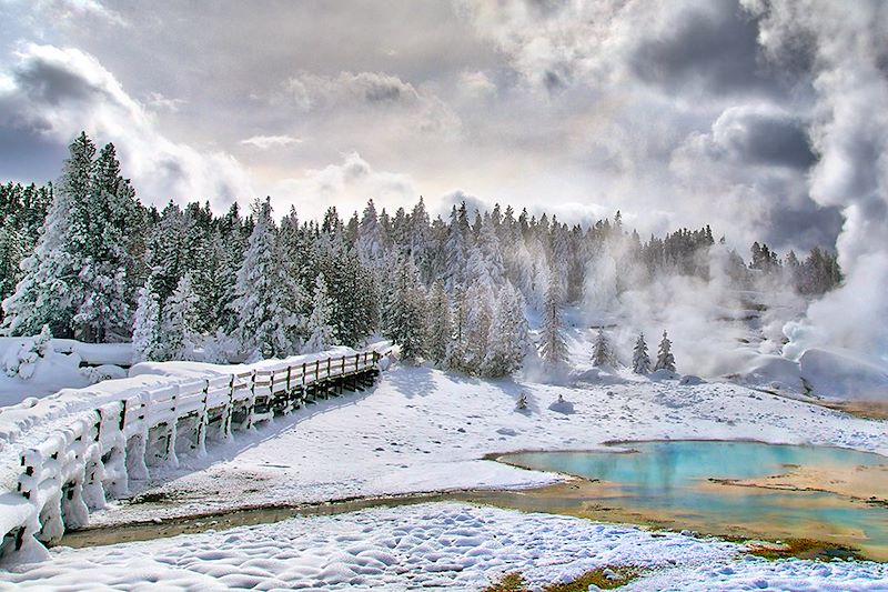 Norris Geyser Basin - Parc national de Yellowstone - États-Unis