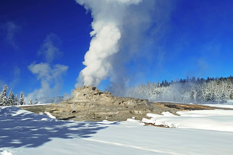 Castle Geyser au Parc national de Yellowstone - États-Unis