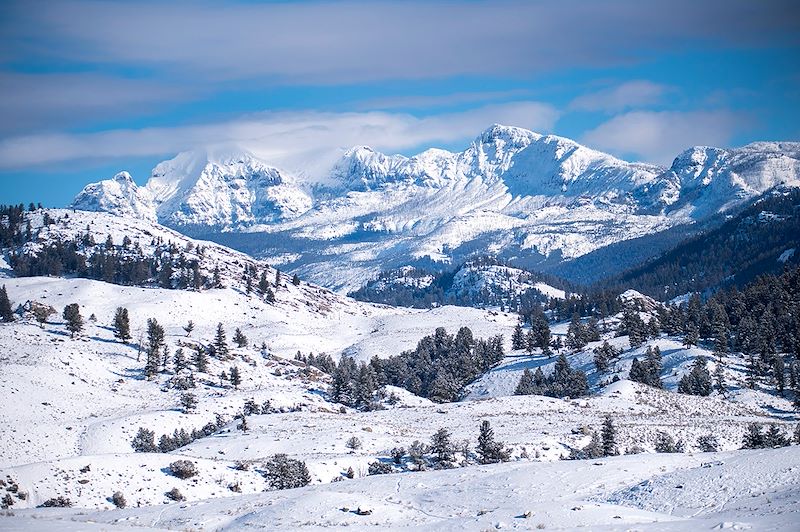 Parc national de Yellowstone - États-Unis