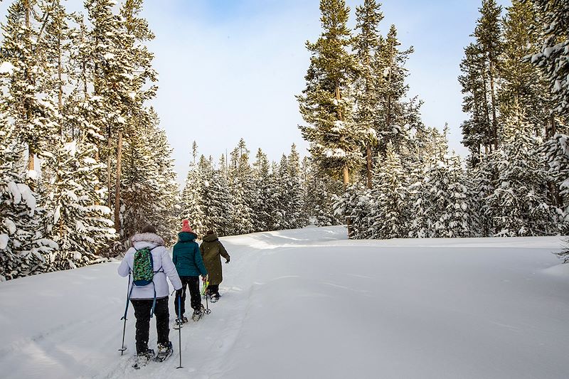 Randonnée à raquette dans le Parc national de Yellowstone - États-Unis