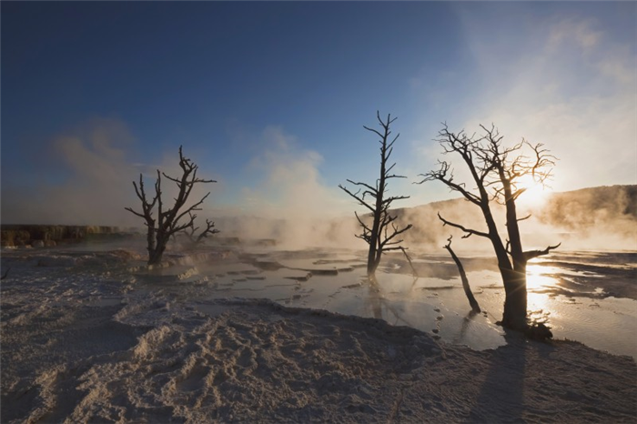 Mammoth Hot Springs - Yellowstone National Park - Wyoming - Etats-Unis