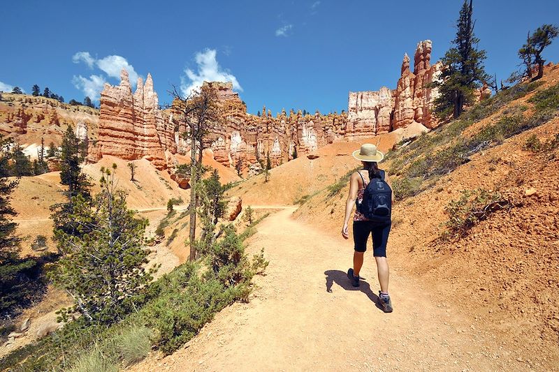 Cheminées de fées dans la parc national de Bryce Canyon - Utah - États-Unis