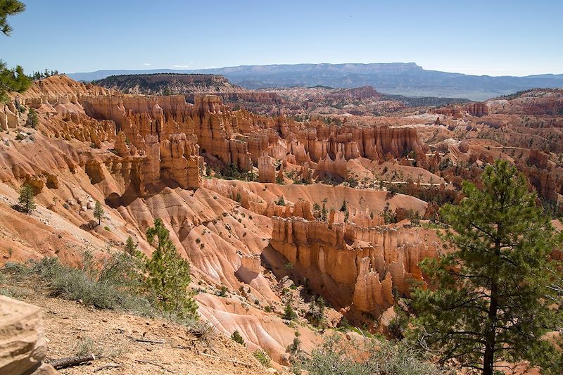 Cheminées de fées dans la parc national de Bryce Canyon - Utah - États-Unis