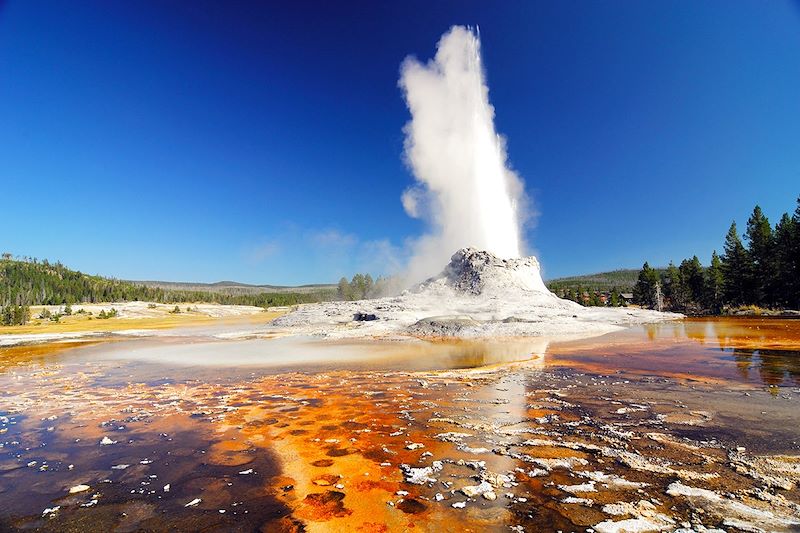 Castle Geyser - Parc national de Yellowstone - États-Unis