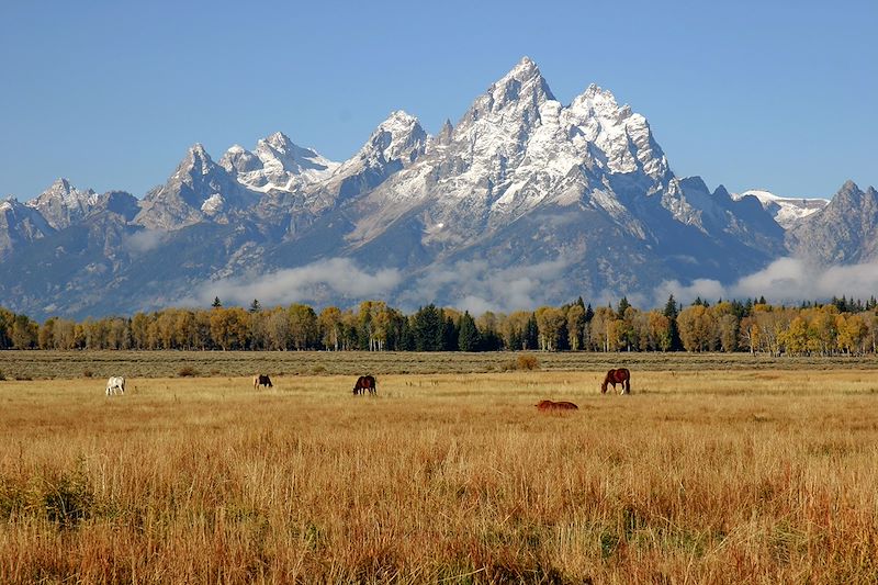 Parc national de Grand Teton - Wyoming - États-Unis